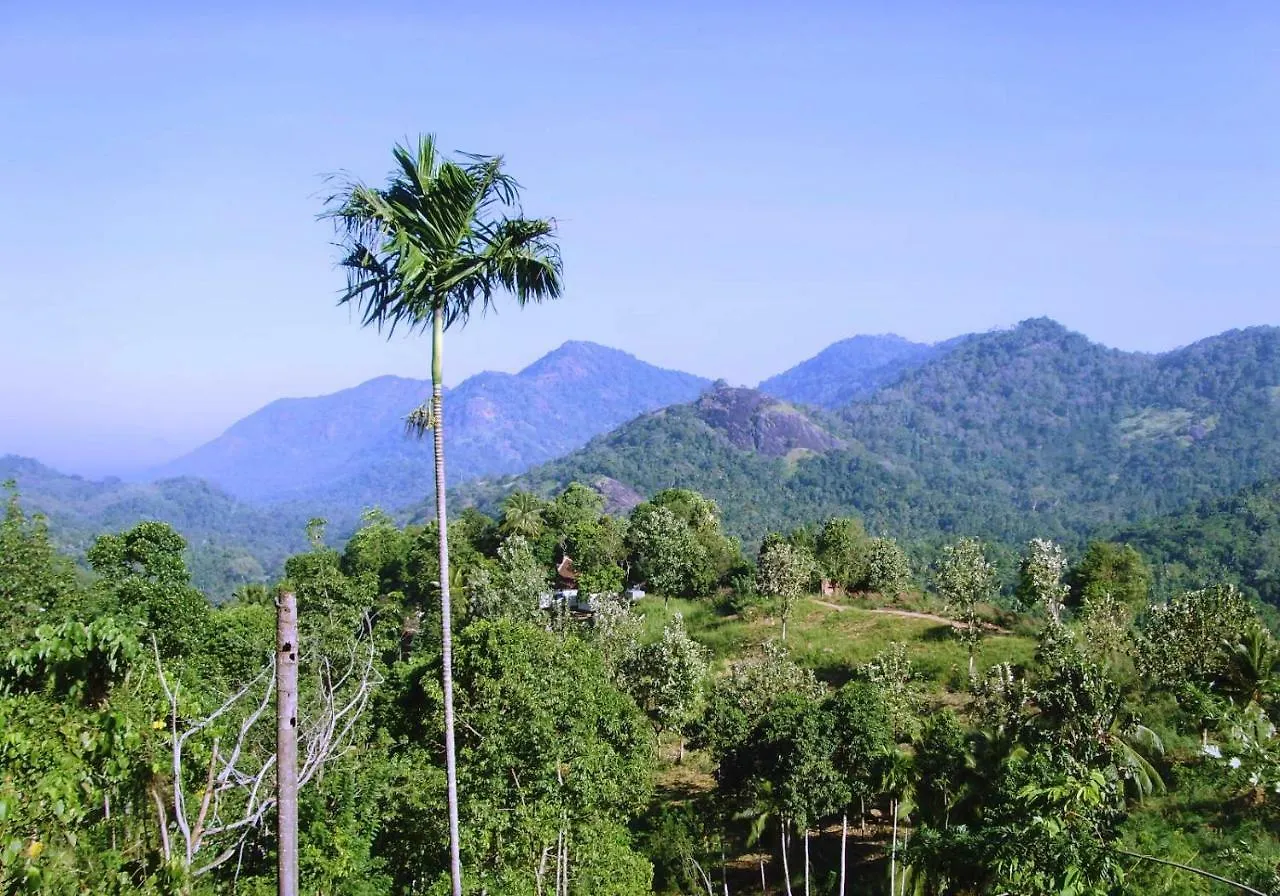 The Flame Tree Estate & Hotel Kandy